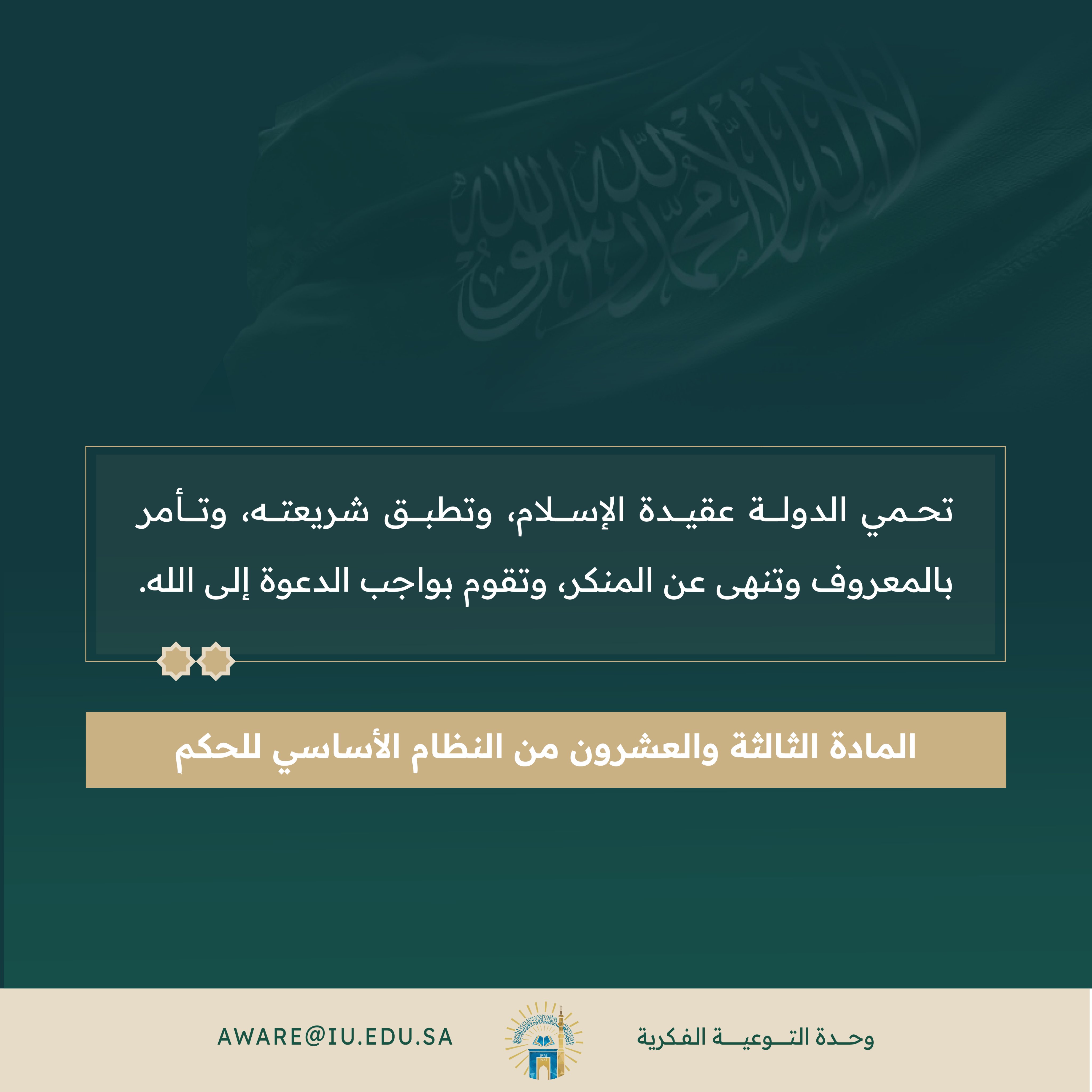 المادة الثالثة والعشرون من النظام الأساسي للحكم